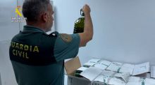 Intervenidos 2.500 litros de aceite lampante que iban a ser comercializados como aceite de oliva virgen