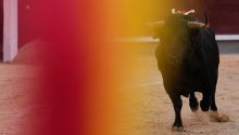 Contra los toros: contra la ley