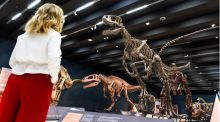 Expertos debaten en Caixa Fórum Madrid sobre el mundo de los dinosaurios