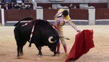 Las Ventas: Los toros por cima de los novilleros