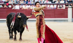 Roca Rey, cogido en su primer toro en la sexta de la Feria de Otoño de Madrid