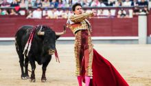 Roca Rey, cogido en su primer toro en la sexta de la Feria de Otoño de Madrid