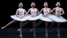 El Lago de los Cisnes vuelve al Teatro Real del 15 al 22 de octubre