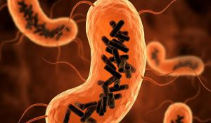 Descubren una nueva entidad biológica que habita en el cuerpo humano: el obelisco