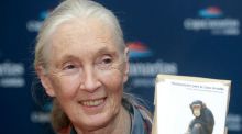 Jane Goodall y ocho premios Nobel, entre los ponentes del Starmus en La Palma