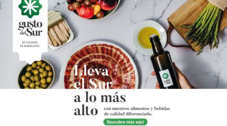 El vínculo de Andalucía con Iberoamérica. “Gusto del Sur”