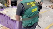 Desarticulada una organización criminal que importaba cocaína oculta en fruta