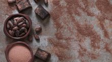 Demuestran en ratones las propiedades del cacao para potenciar la salud cerebral