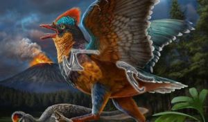 Hallada en China una nueva especie de ave que vivió hace 149 millones de años