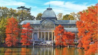 Nueva edición de visitas gratuitas del programa Pasea Madrid