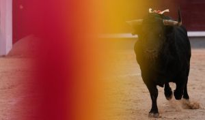 México aprueba sus nuevas corridas de toros: sólo capote y muleta y cuernos cubiertos