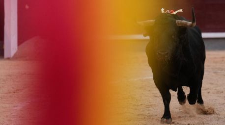México aprueba sus nuevas corridas de toros: sólo capote y muleta y cuernos cubiertos