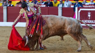 El regreso de Morante de la Puebla 210 días después de su retirada