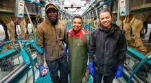 Los inmigrantes regularizados a través del arraigo se multiplican por siete en cuatro años