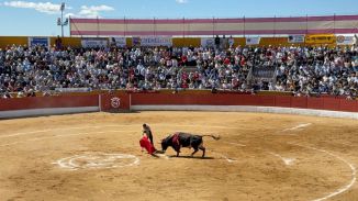 San Agustín del Guadalix. Damián Castaño hace historia a pesar de la espada