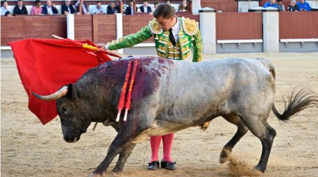 Crónica taurina en El Imparcial. Las Ventas: la casta de Saltillo