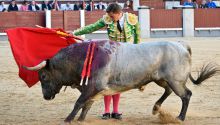 Crónica taurina en El Imparcial. Las Ventas: la casta de Saltillo