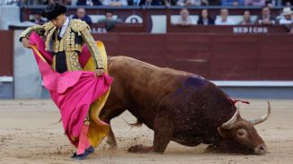 Un toro de gran bravura y otros dos de triunfo se van 'con las orejas puestas'