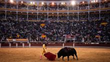 Feria de San Isidro en Las Ventas: los matices de mansedumbre