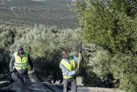 Ocho provincias de la España vaciada han triplicado sus trabajadores extracomunitarios en 10 años