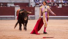 Feria de San Isidro en Las Ventas: Román corta un trofeo de peso