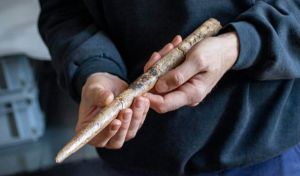 Hallan las herramientas humanas más antiguas hechas con huesos de ballena