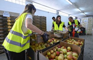 Sexta campaña «Ningún hogar sin alimentos» de la Fundación ”la Caixa” y CaixaBank