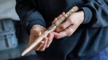 Hallan las herramientas humanas más antiguas hechas con huesos de ballena