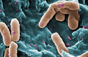 El hallazgo de bacterias en agua pesada redefine los límites de la vida microbiana