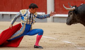 Un encastado toro de Escolar propicia un triunfo menor de Gómez del Pilar