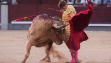 Sólo Borja Jiménez resuelve a la altura de una gran corrida de Jandilla en Las Ventas