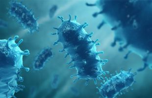 Fallece el paciente aislado en una UCI por rabia tras ser mordido por un perro en África