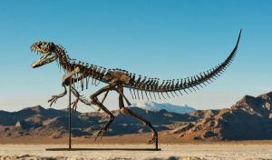 A la venta un esqueleto de Ceratosaurus a partir de cuatro milones de euros
