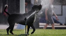 Inglaterra decreta alerta ámbar por calor: la temperatura alcanzará los 30 grados
