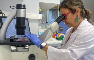 Dos de cada tres españoles desconoce qué es el cribado de cáncer de pulmón