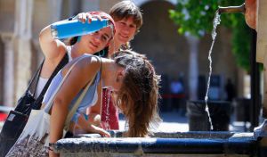 1.180 muertes por calor en dos meses: se dispara un 935% la mortalidad en un año