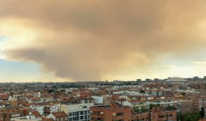 Más de 2.500 hectáreas de pasto quemadas, de momento, en el incendio de Méntrida