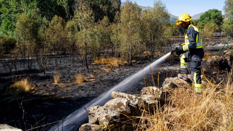 Preocupación por el incendio forestal en Navaluenga