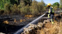 Optimismo por la evolución del incendio forestal en Navaluenga
