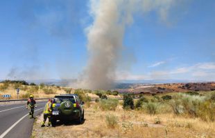 Controlado el incendio forestal en Arroyomolinos: reabre la M-413