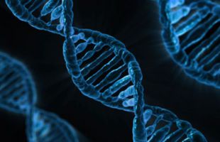 Un estudio internacional consigue la visualización más completa del genoma humano