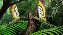 Un reptil del Triásico con estructuras similares a plumas desafía la teoría evolutiva