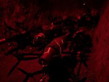 La nueva cara de la guerra en Ucrania: drones interceptores contra los kamizakes