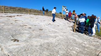 Descubren cientos de nuevas huellas de dinosaurios en cuatro yacimientos de Teruel