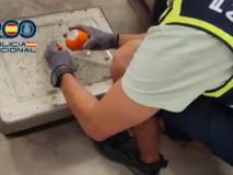 Interceptados 1.800 kilos de bolas de hachís empaquetadas como si fueran naranjas