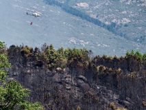 El incendio forestal en Ávila se complica: afronta horas críticas debido al viento