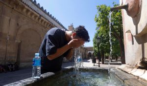 La temperatura superó los 43 grados en algunas estaciones al arrancar la ola de calor