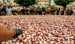 O Carballiño vuelve a servir una tapa de pulpo récord: 600 kilos y 5,37 metros