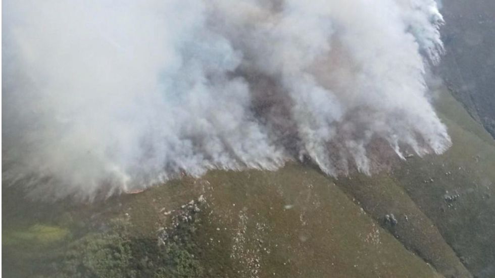 Incendios forestales en Orense y Ávila: cientos de hectáreas quemadas