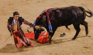 Morante de la Puebla, herido grave por una cornada en Pontevedra